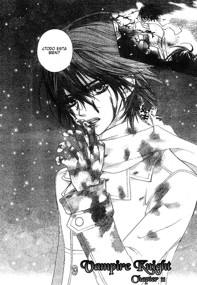 Read Vampire Knight (es) Manga Online