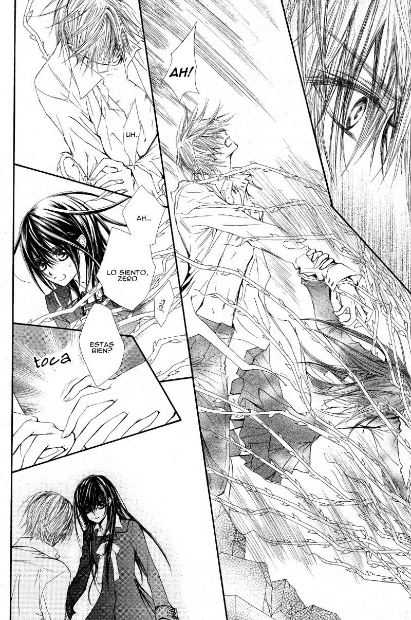 Read Vampire Knight (es) Manga Online
