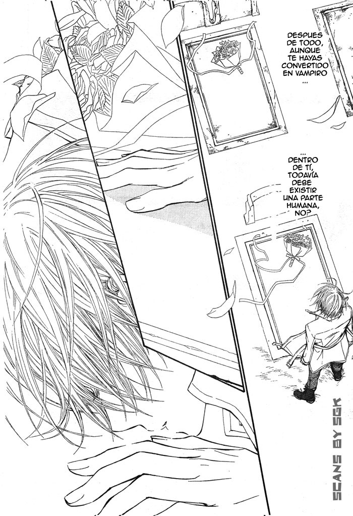 Read Vampire Knight (es) Manga Online