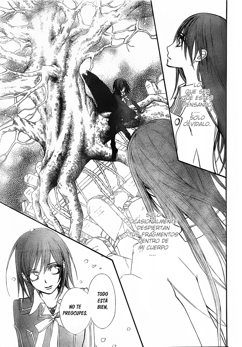 Read Vampire Knight (es) Manga Online