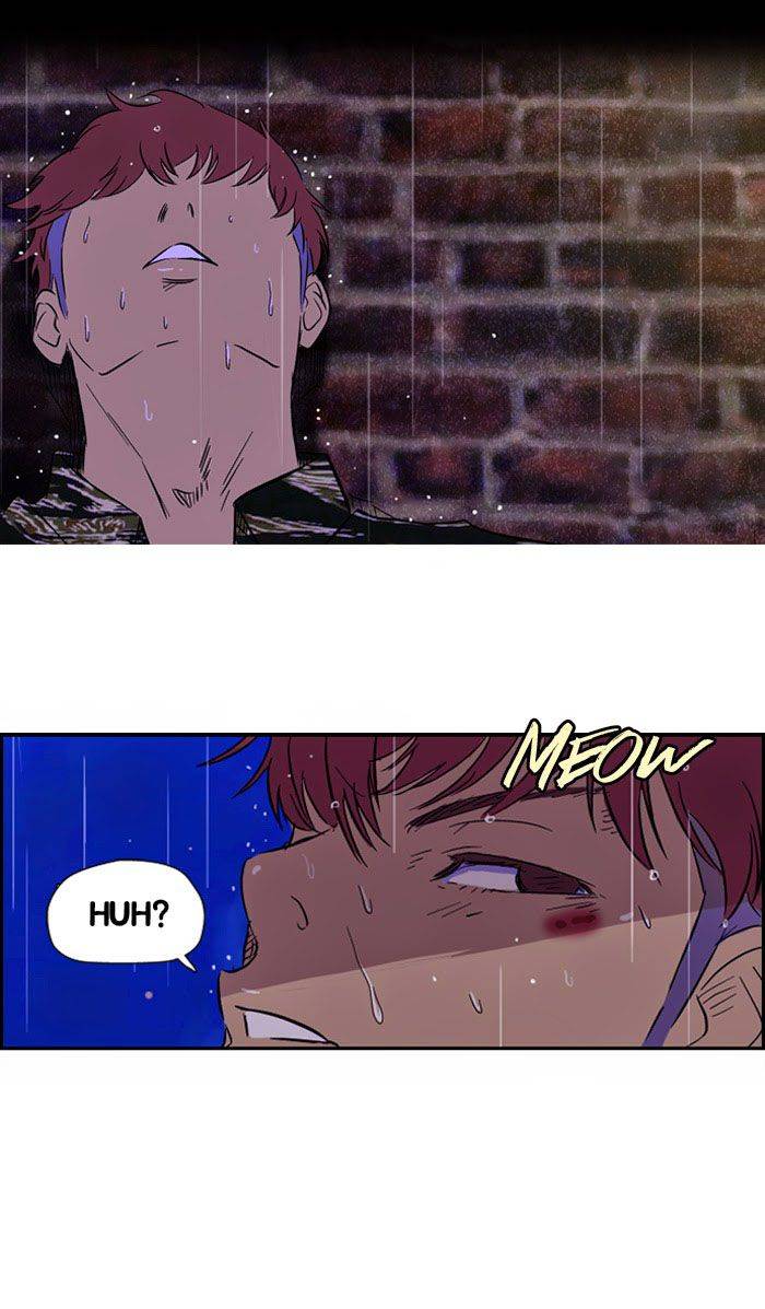 Read Wind Breaker (es) Manga Online