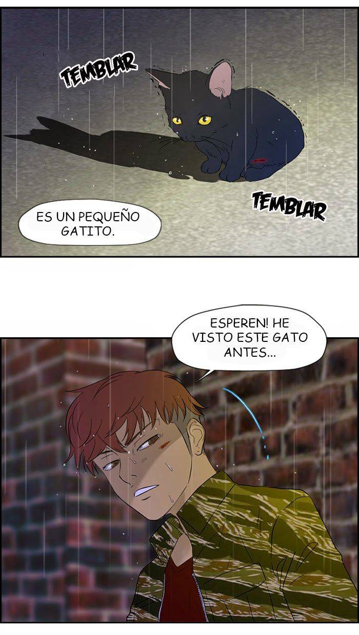 Read Wind Breaker (es) Manga Online