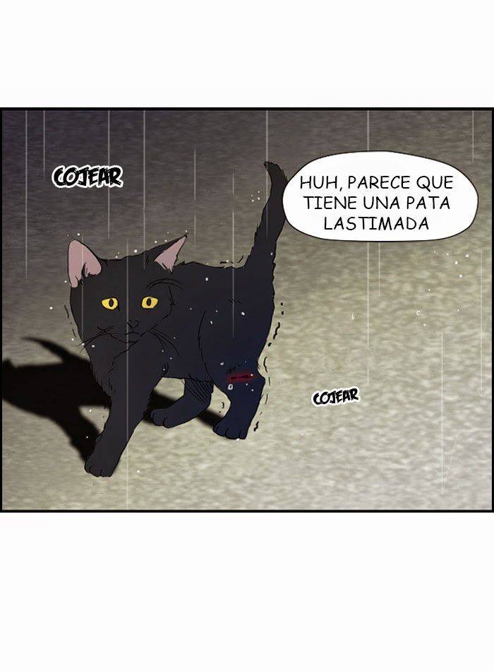 Read Wind Breaker (es) Manga Online