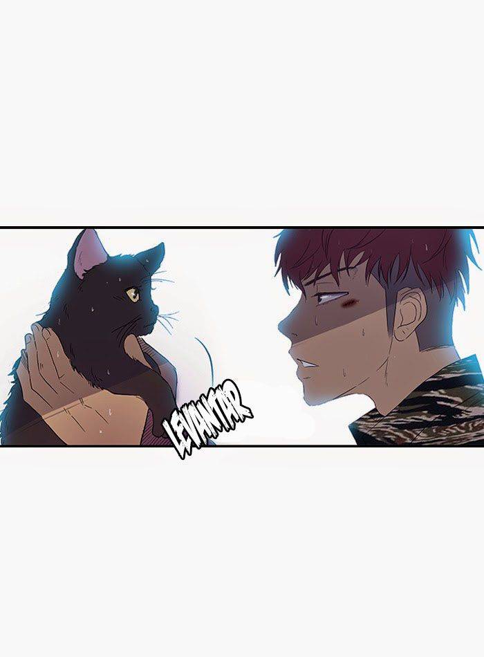 Read Wind Breaker (es) Manga Online