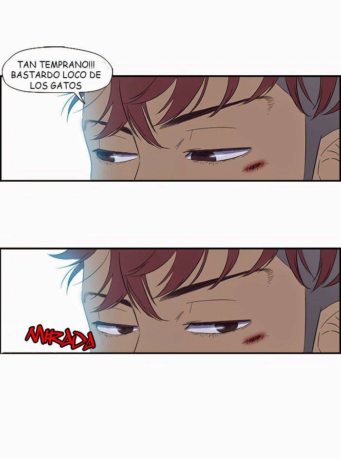 Read Wind Breaker (es) Manga Online