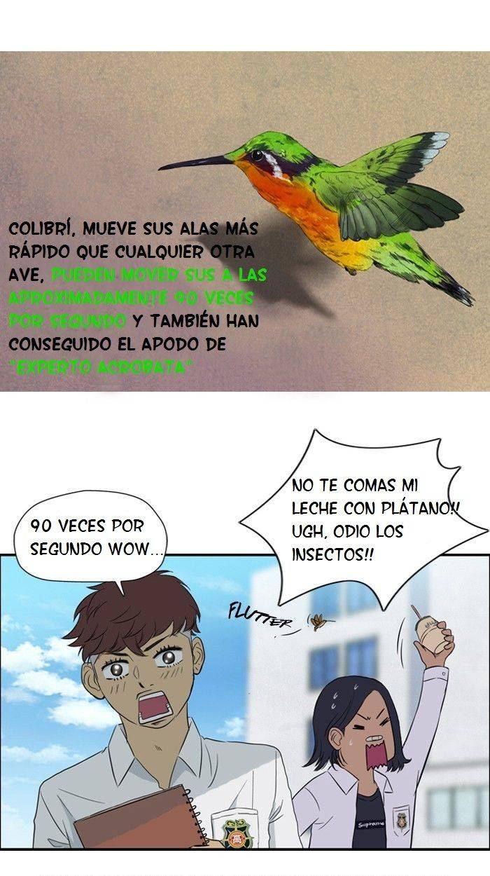 Read Wind Breaker (es) Manga Online