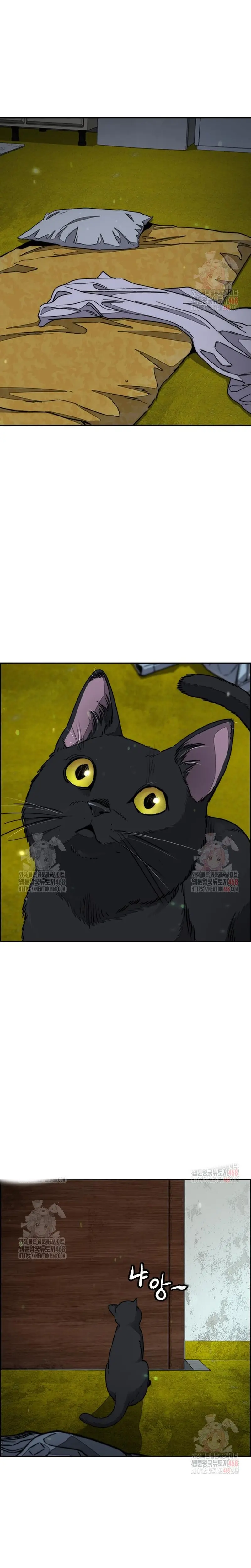 Read Wind Breaker (es) Manga Online