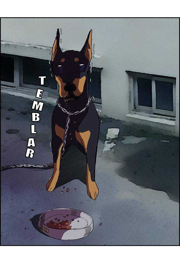 Read Wind Breaker (es) Manga Online