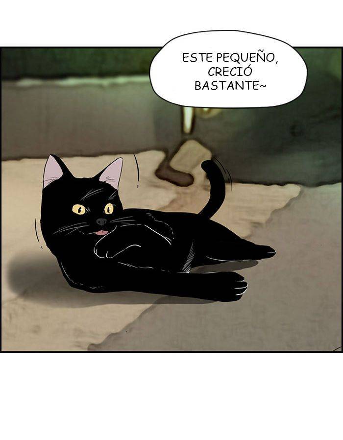 Read Wind Breaker (es) Manga Online